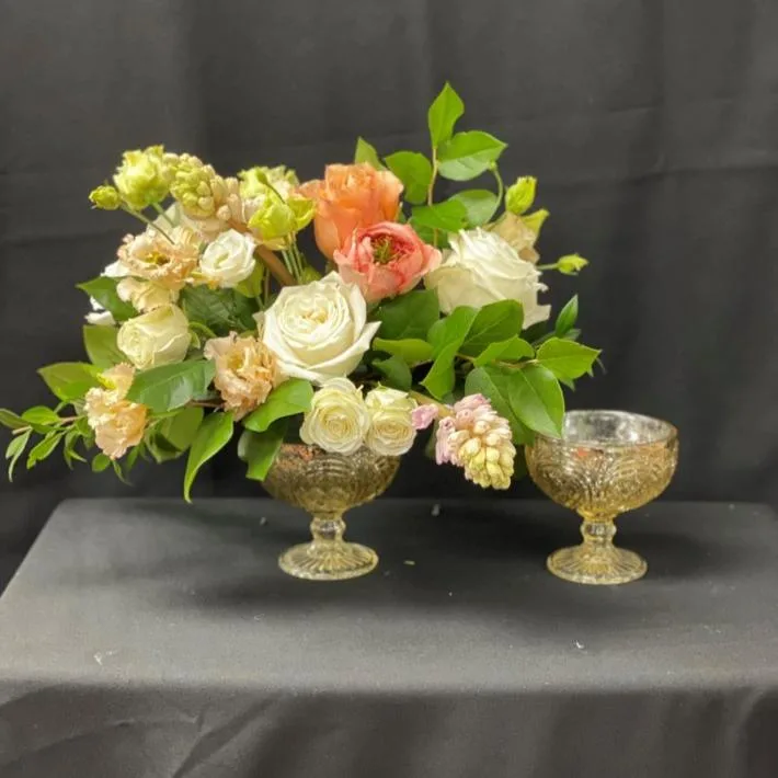Standard Gold Compote