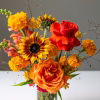 Bright & Vibrant