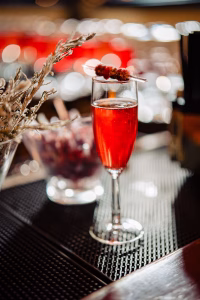 WinterMixer-017-CoryParrisPhotography