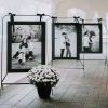 Photo Showcase